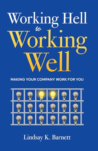 Working Hell to Working Well: Making Your Company Work for You Working Hell to Working Well: Making Your Company Work for You von Authors On Mission