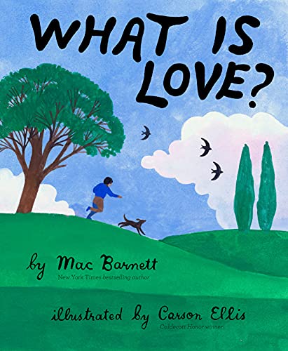 What Is Love? von Chronicle Books
