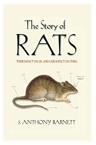 The Story of Rats: Their Impact on Us, and Our Impact on Them von Allen & Unwin