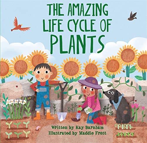 The Amazing Plant Life Cycle Story von Wayland
