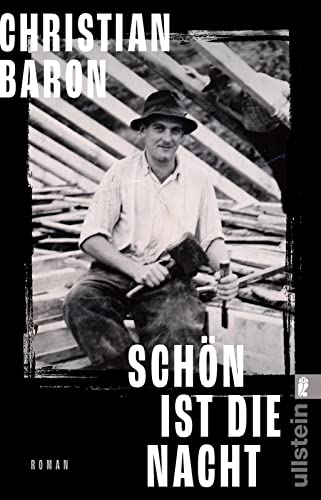 Schön ist die Nacht: Roman | »Ein fulminanter Roman.« Elke Heidenreich