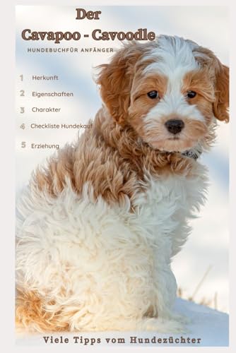 Der Cavapoo - Cavoodle, Cavalier King Spaniel x Kleinpudel, Rasse-Beschreibung - Portrait, Charakter, Eigenschaften, Haltung, Erziehung, Gesundheit: ... von einer langjährigen Hundezüchterin Der Cavapoo - Cavoodle, Cavalier King Spaniel x Kleinpudel, Rasse-Beschreibung - Portrait, Charakter, Eigenschaften, Haltung, Erziehung, Gesundheit: ... von einer langjährigen Hundezüchterin von Independently published