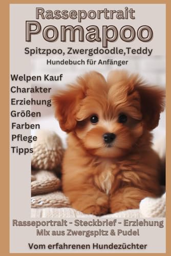 Hundebuch über Pomapoo: Alle Informationen zu Zwergdoodle und Spitzdoodle-Mischlingen aus Zwergspitz / Pomeranian und Pudel: Mix Teddy in Mini, Toy ... – Geschrieben vom Züchter, Boo, Rasseportrait Hundebuch über Pomapoo: Alle Informationen zu Zwergdoodle und Spitzdoodle-Mischlingen aus Zwergspitz / Pomeranian und Pudel: Mix Teddy in Mini, Toy ... – Geschrieben vom Züchter, Boo, Rasseportrait von Independently published