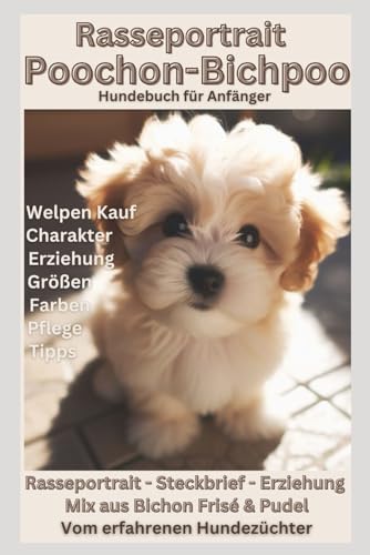 Süßer Teddy: Poochon / Bichpoo ( Bichon Frisé & Pudel Mix ) - Alle Informationen zum Welpenkauf für Anfänger und Locken-Liebhaber: Hundebuch für ... werden, Größen, Futter, Charakter, Toy von Independently published