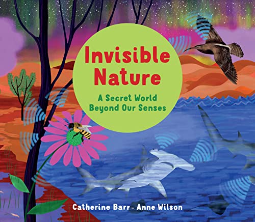 Invisible Nature: A Secret World Beyond our Senses von Otter-Barry Books Ltd