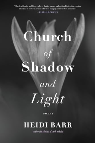 Church of Shadow and Light von Wayfarer Books