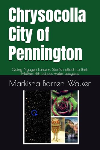 Chrysocolla City of Pennington: Quing Nguyen Lantern, Starfish attach to their Mother, Fish School water upcycles Chrysocolla City of Pennington: Quing Nguyen Lantern, Starfish attach to their Mother, Fish School water upcycles von Independently published