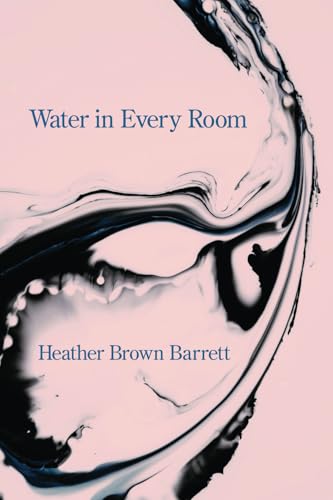Water in Every Room Water in Every Room von Kelsay Books