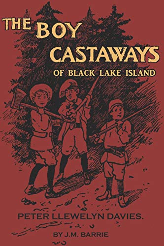 The Boy Castaways of Black Lake Island The Boy Castaways of Black Lake Island von Independently Published