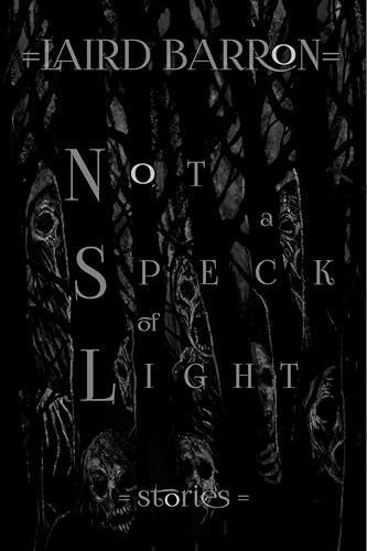 Not a Speck of Light: Stories von Bad Hand Books, LLC