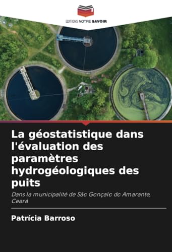 La géostatistique dans l'évaluation des paramètres hydrogéologiques des puits: Dans la municipalité de São Gonçalo do Amarante, Ceará
