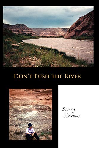 Don't Push the River: It Flows by Itself von Gestalt Journal Press