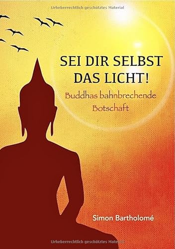 Sei dir selbst das Licht!: Buddhas bahnbrechende Botschaft von epubli