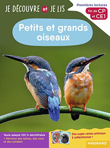 Je découvre et je lis CP et CE1 - Petits et grands oiseaux: Premières lectures, premières découvertes