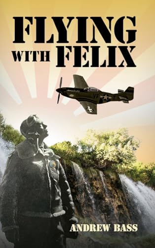 Flying with Felix von Palmetto Publishing