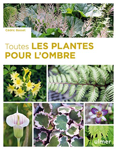 Toutes les plantes pour l'ombre von ULMER