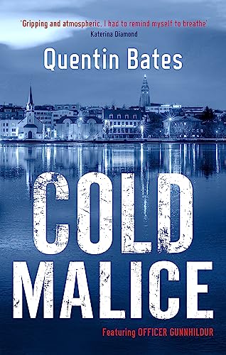 Cold Malice: A dark and chilling Icelandic noir thriller (Gunnhildur Mystery, Band 7)