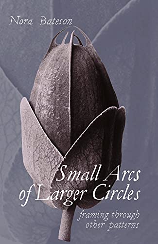 Small Arcs of Larger Circles: Framing Through Other Patterns von Triarchy Press Ltd