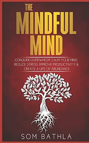 The Mindful Mind: Conquer Overwhelm, Calm Your Mind, Reduce Stress, Improve Productivity & Create a Life of Abundance (Personal Mastery Series, Band 5)