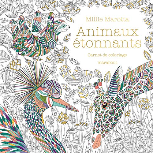 Animaux étonnants: Carnet de coloriage