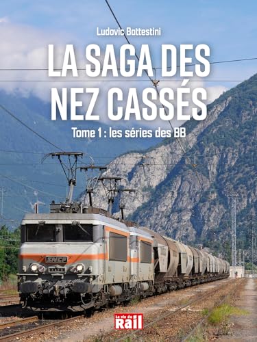 La saga des nez cassés Tome 1 - Les séries des BB: TOME 1 : la série des BB