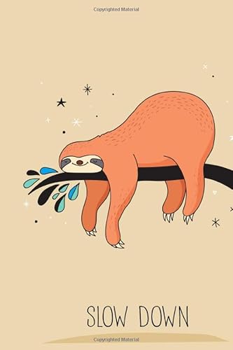 Slow Down: Notizbuch mit coolem Spruch in DIN A5 mit Inhaltsverzeichnis und Seitenzahlen und Punktraster von Independently published