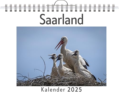 Saarland - (Wandkalender 2025, Kalender DIN A4 quer, Monatskalender im Querformat mit Kalendarium, das perfekte Geschenk) von FlipFlop