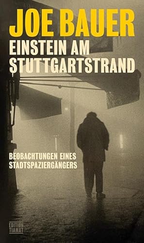 Einstein am Stuttgartstrand: Beobachtungen eines Stadtspaziergängers (Critica Diabolis)