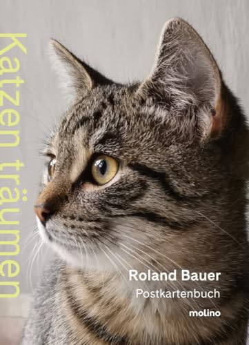 Katzen träumen: Das Postkartenbuch für alle Katzenliebhaber mit 20 bezaubernden Fotografien | Zum Verschenken oder selbst träumen von Molino Verlag