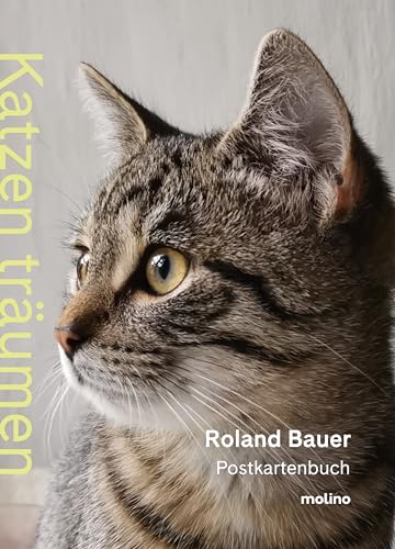 Katzen träumen: Das Postkartenbuch für alle Katzenliebhaber mit 20 bezaubernden Fotografien | Zum Verschenken oder selbst träumen Katzen träumen: Das Postkartenbuch für alle Katzenliebhaber mit 20 bezaubernden Fotografien | Zum Verschenken oder selbst träumen