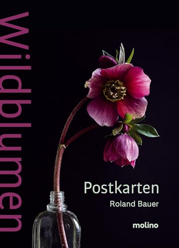 Wildblumen: Das Postkartenset zum Buch | Mit 20 außergewöhnlichen Fotografien aus Hohenlohe