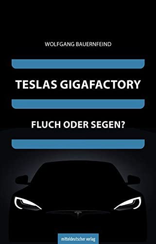 Teslas Gigafactory: Fluch oder Segen? | Die Mission von Elon Musk und Brandenburger Realitäten von Mitteldeutscher Verlag