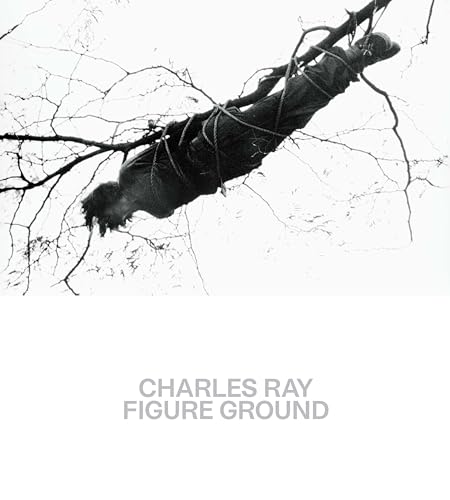Charles Ray: Figure Ground von Metropolitan Museum of Art