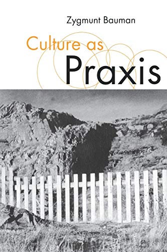 Culture as Praxis (Published in association with Theory, Culture & Society) von Sage Publications