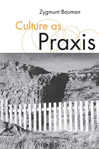 Culture as Praxis (Published in association with Theory, Culture & Society)