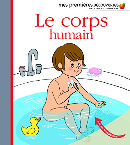 Le corps humain Le corps humain