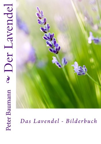 Der Lavendel
