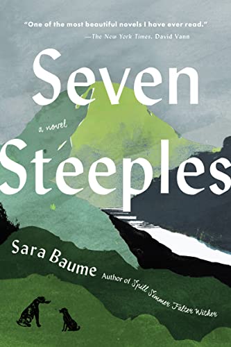 Seven Steeples: A Novel von Mariner Books