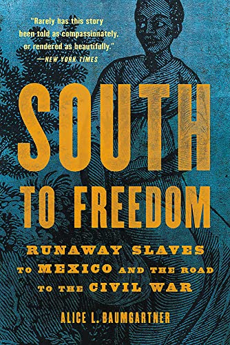 South to Freedom: Runaway Slaves to Mexico and the Road to the Civil War von Basic Books
