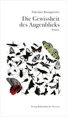 Die Gewissheit des Augenblicks: Roman
