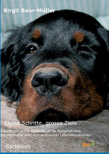 Kleine Schritte, grosse Ziele: Ein empathisches Begleitbuch für festgefahrene, schmerzhafte oder sich auflösende Lebenssituationen von Tao.de in J. Kamphausen