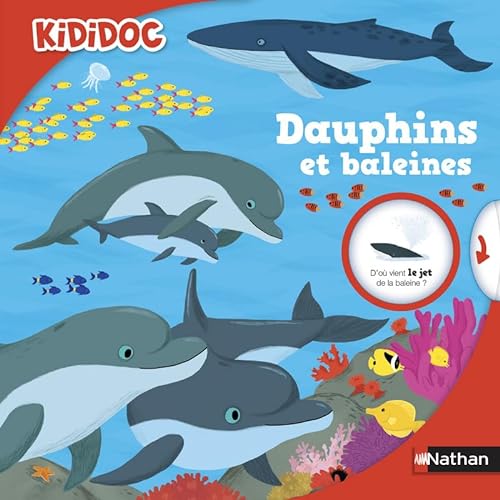 Kididoc: Dauphins et baleines