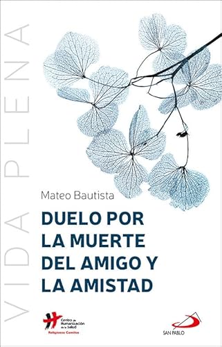 Duelo por la muerte del amigo y la amistad (Vida Plena, Band 15)