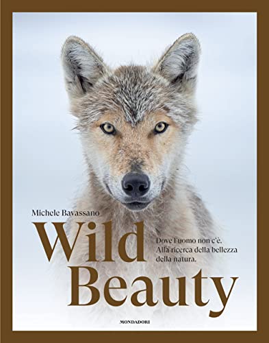 Wild beauty. Dove l'uomo non c'è. Alla ricerca della bellezza della natura. Ediz. a colori (Illustrati) von Mondadori Electa