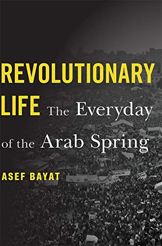 Revolutionary Life - The Everyday of the Arab Spring Revolutionary Life - The Everyday of the Arab Spring