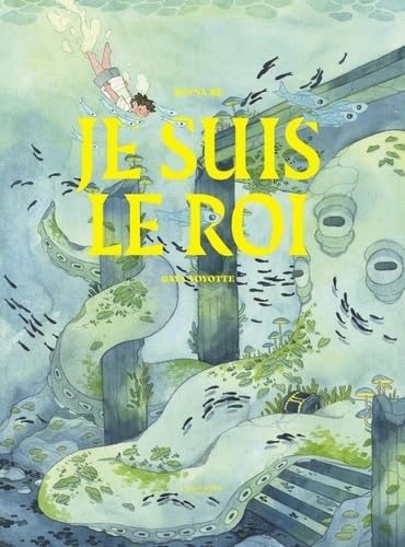 Je suis le roi von MARTINIERE J
