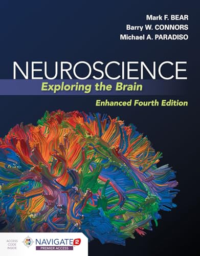 Neuroscience: Exploring the Brain