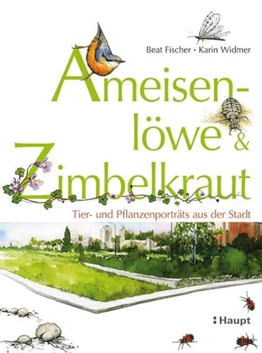Ameisenlöwe und Zimbelkraut: Tier- und Pflanzenporträts aus der Stadt von Haupt