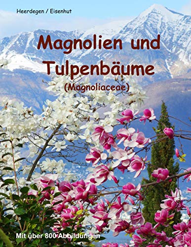 Magnolien und Tulpenbäume: Magnoliaceae Magnolien und Tulpenbäume: Magnoliaceae