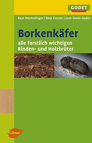 Borkenkäfer: Alle forstlich wichtigen Rinden und Holzbrüter von Ulmer Eugen Verlag